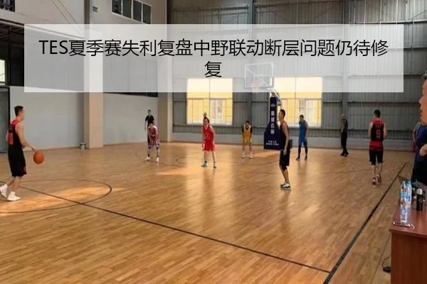 TES夏季赛失利复盘中野联动断层问题仍待修复
