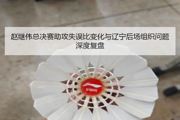 赵继伟总决赛助攻失误比变化与辽宁后场组织问题深度复盘 | kaiyun